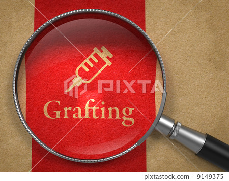 Grafting Concept: Magnifying Glass 9149375