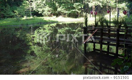 Kamiike的漣漪 9151501