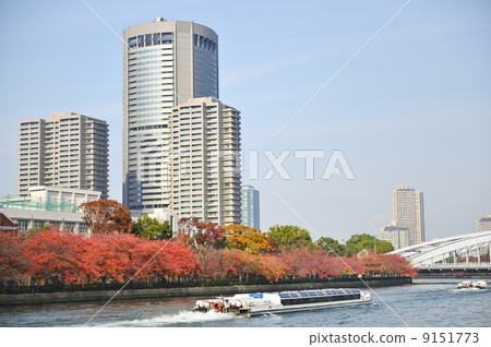 Osaka Amenity Park OAP Autumn Leaves 9151773