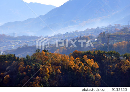 放棄深秋 9152833