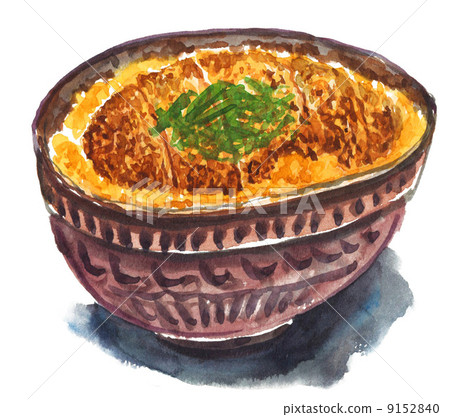 breaded pork on rice, illustration, welsh onions 9152840