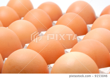 Eggs in cardboard packing Eggs in cardboard packing 9153846