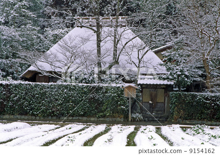 冬天在京都沖繩 9154162
