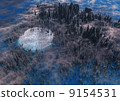A huge nest 9154531