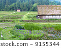 Scenery of Shirakawago Scenery of Shirakawago 9155344