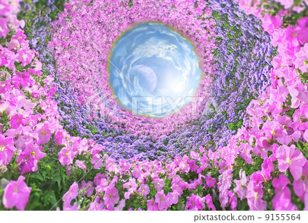 Fantastic floral passage 9155564