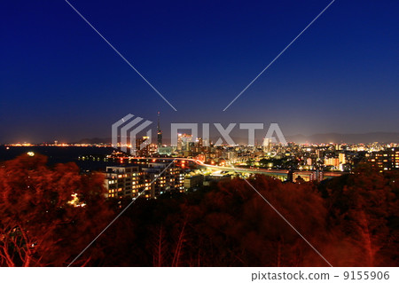 Night view from Fukuoka Atago Shrine 9155906