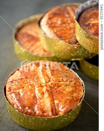 Garrett Bretonne (vertical position up) 9155941