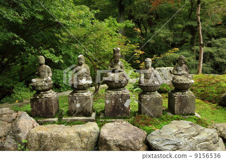 Amidaji 9156536