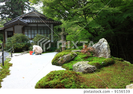 Amidaji Amidaji 9156539