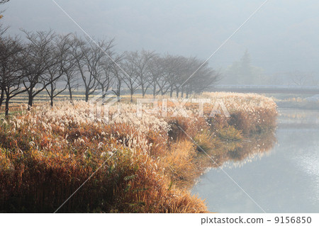 一排河霧流 9156850