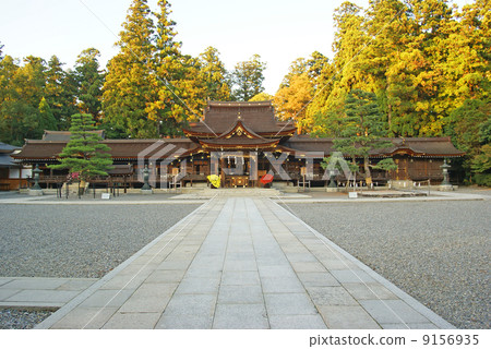 Taga Taisha在秋天 9156935