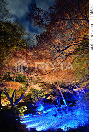 Rikugien的夜景 9156982