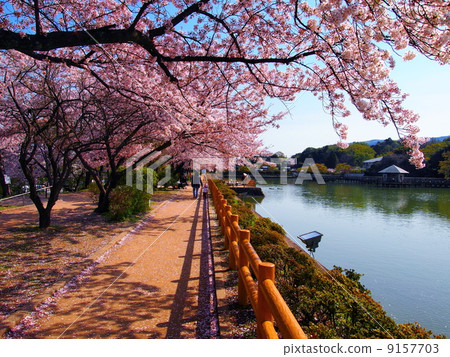 Nagaoka Tenman-gu Shrine in spring 9157703