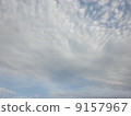 晚報 9157967