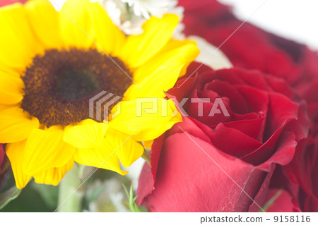 bouquet of red roses and sunflower in a vase bouquet of red roses and sunflower in a vase 9158116