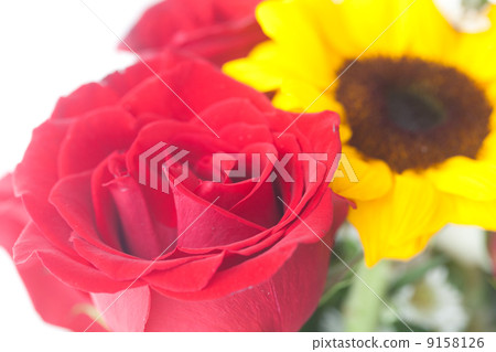 bouquet of red roses and sunflower in a vase bouquet of red roses and sunflower in a vase 9158126