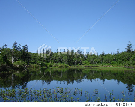 夏天的溫森沼澤 夏天的溫森沼澤 9158159