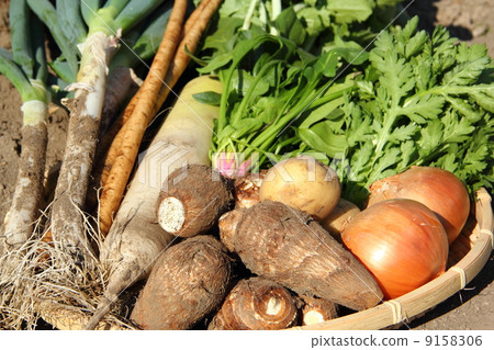 Harvesting vegetables 9158306