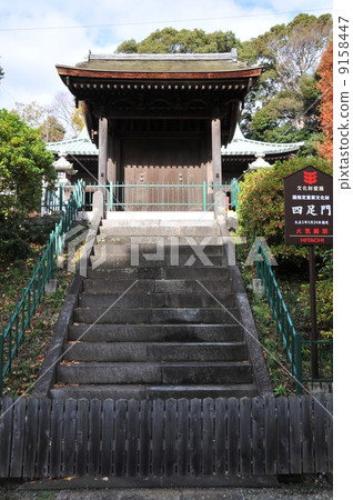 Nakayama Potter Dema四足門 9158447