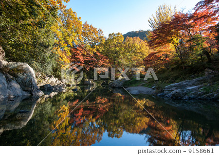 嵐山谷秋葉 9158661