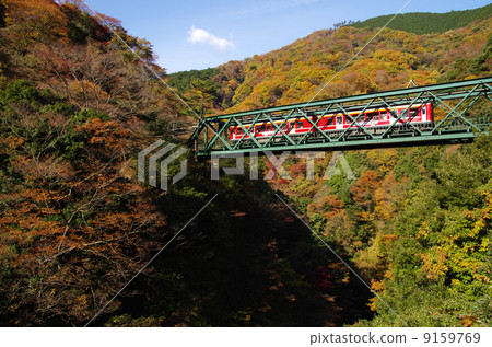 箱根登山火車 箱根登山火車 9159769