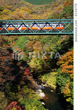 箱根登山火車 箱根登山火車 9159770
