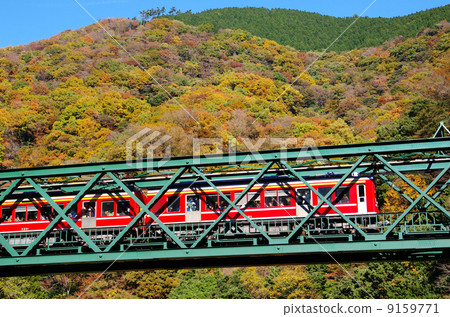 箱根登山火車 9159771