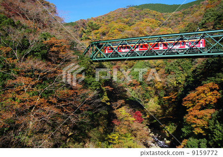 箱根登山火車 箱根登山火車 9159772