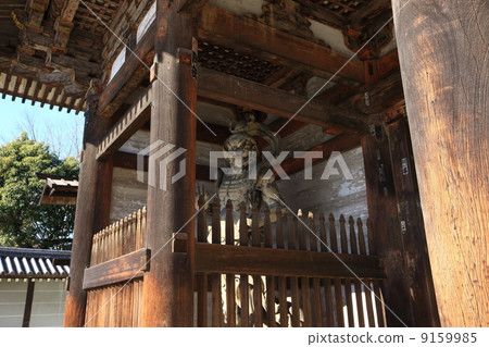 The statue of Nio Ninna-ji 9159985