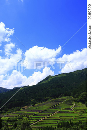 從天文台的坂本水稻梯田 9160790