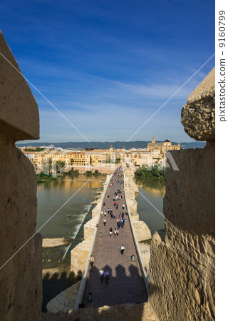 Spain World Heritage Mesquita wishing from the tower of the karaora 9160799