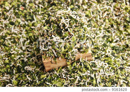 Chirimen Jaco·Masu和Nozawa Rina（東京寺/京都市南區的九條鎮） 9161620