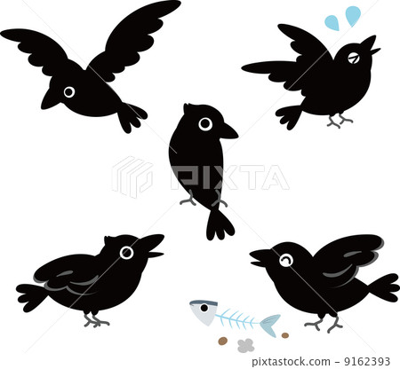 Various poses of crows Various poses of crows 9162393
