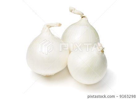 白洋蔥 9163298