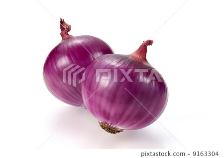 紫洋蔥 9163304