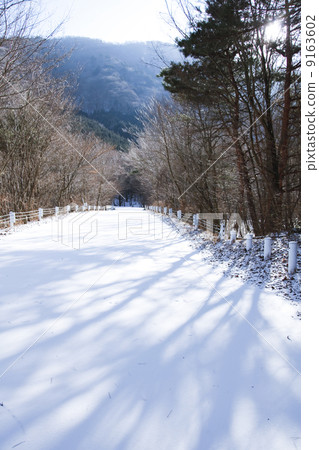 晴朗的冬天多雪的方式 9163602