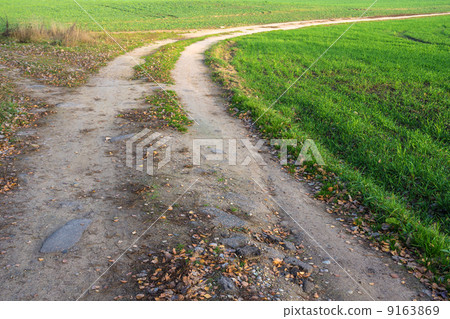 Line of rural road. 9163869