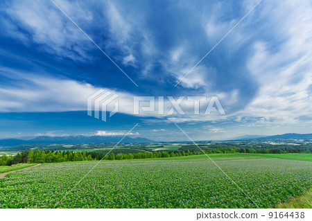 Agriculture  9164438