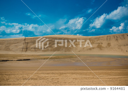 鳥取沙丘 鳥取沙丘 9164481