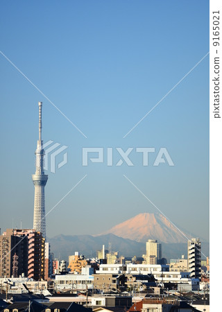 Fuji in the winter and the sky tree 9165021