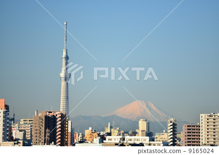 Fuji in the winter and the sky tree 9165024