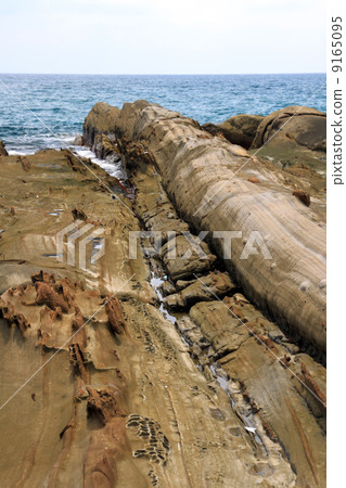 Dragon ski coast 9165095