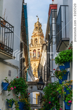 Spain Cordoba Small Diameter of Flowers 9165520