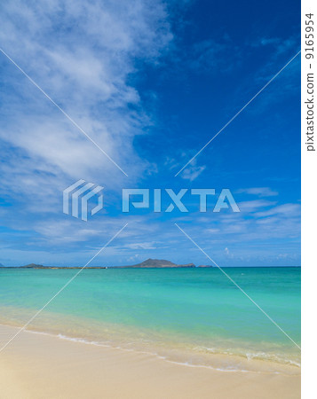 天空，大海和海灘 9165954