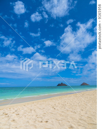 Lanikai海灘的地標 Lanikai海灘的地標 9165956