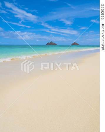 一個海灘 一個海灘 9165958
