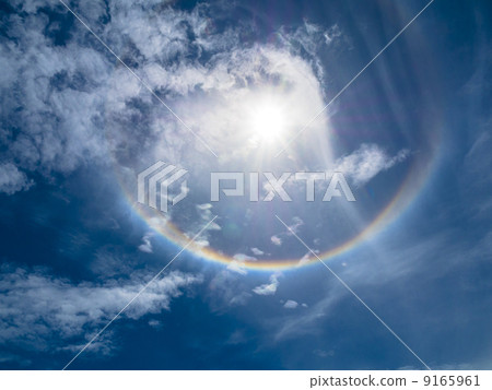 Rainbow  9165961