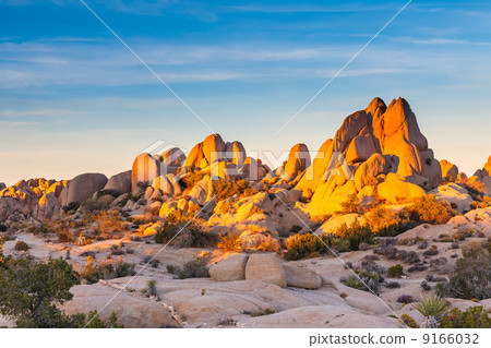 Joshua Tree National Park Joshua Tree National Park 9166032