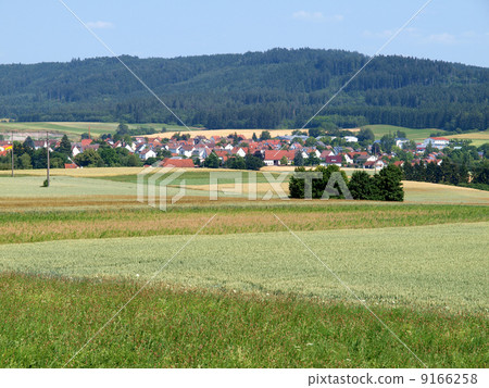 German wheat field 9166258